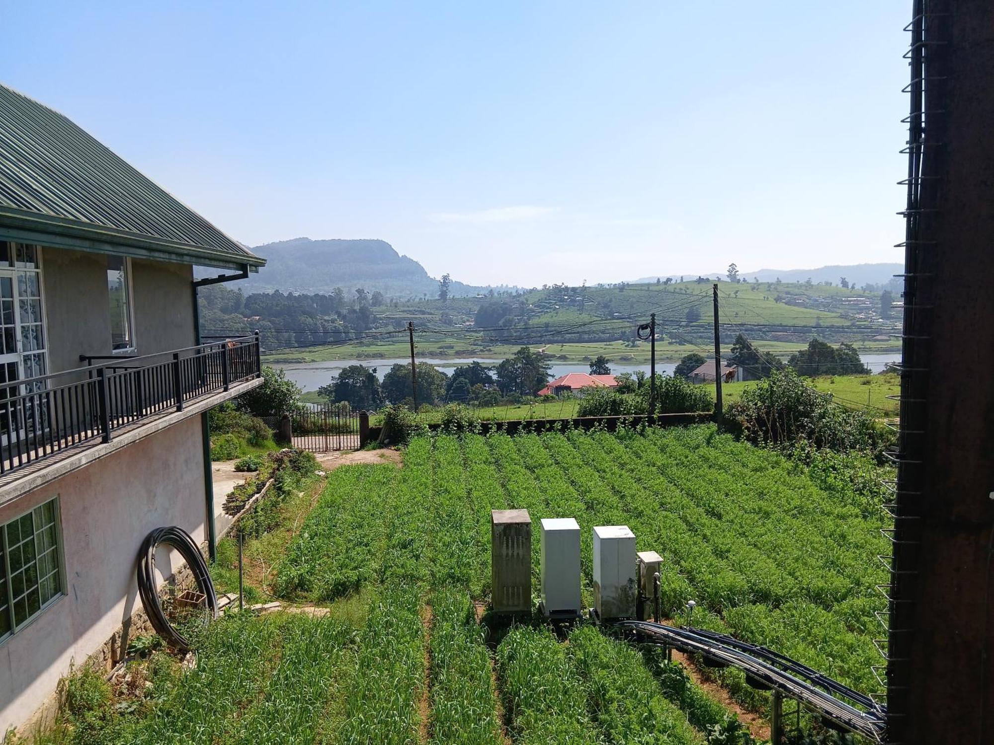 Terrabella - Nuwara Eliya Hotell Exteriör bild